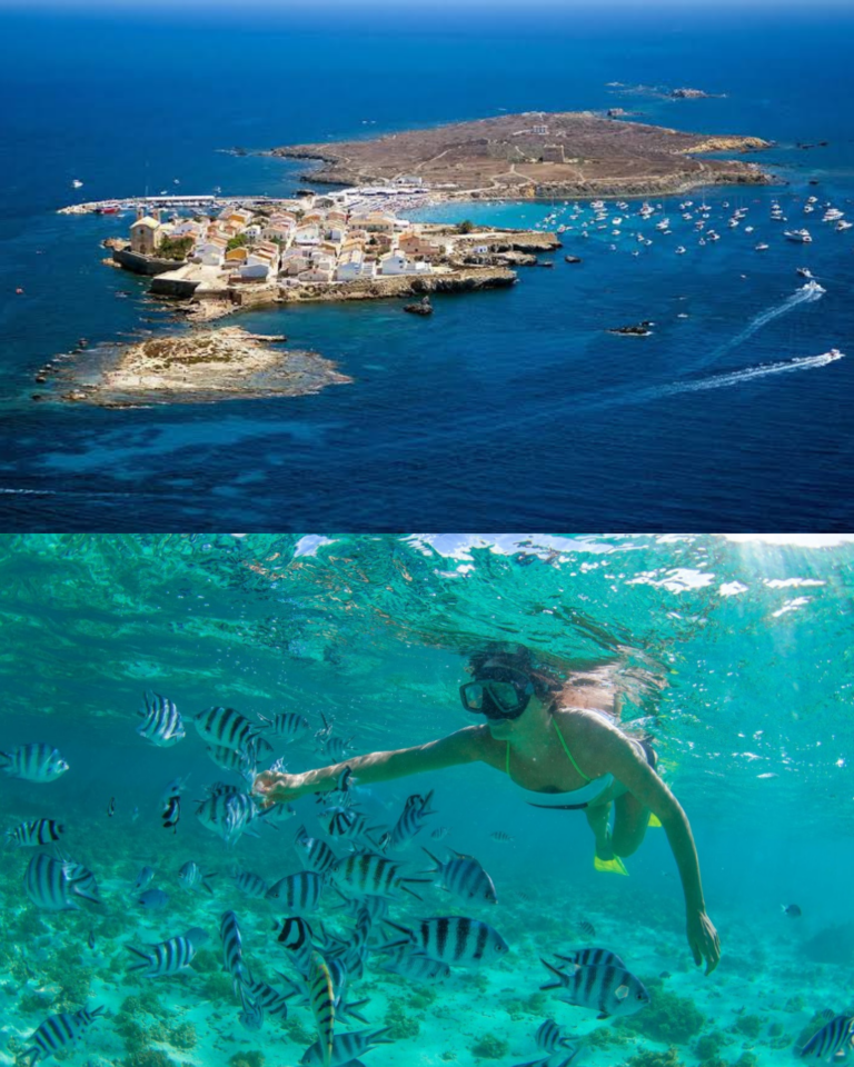 Excursión Isla de Tabarca desde Valencia — Día completo de playa y snorkel