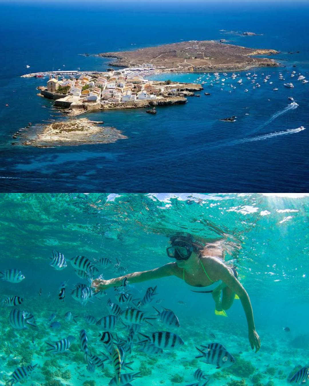 Excursión Isla de Tabarca desde Valencia — Día completo de playa y snorkel