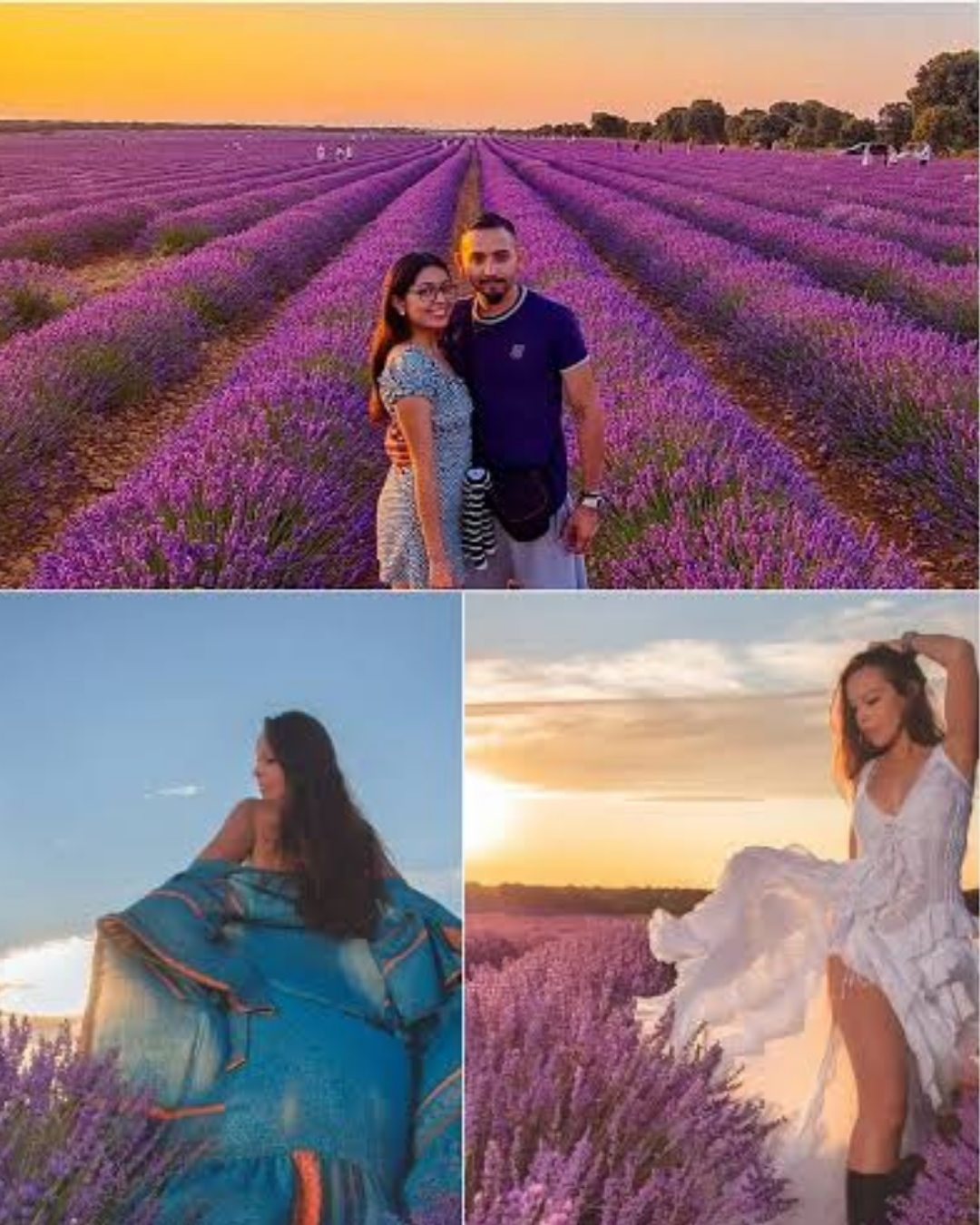 Excursión Campos de Lavanda en Ademuz desde Valencia — El mar violeta de la Comunitat