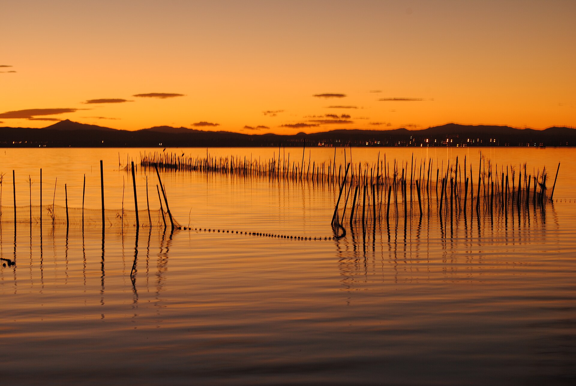 Atardecer sobre el lago de la Albufera de Valencia con cañizos
