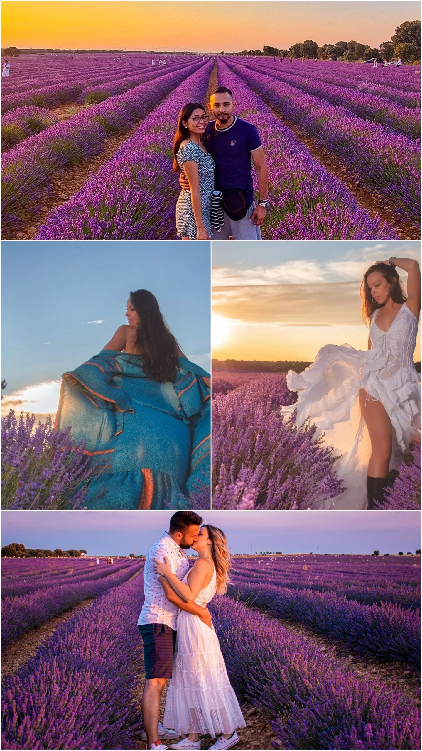 Viajeros entre campos de lavanda en flor al atardecer en el Rincón de Ademuz, Valencia