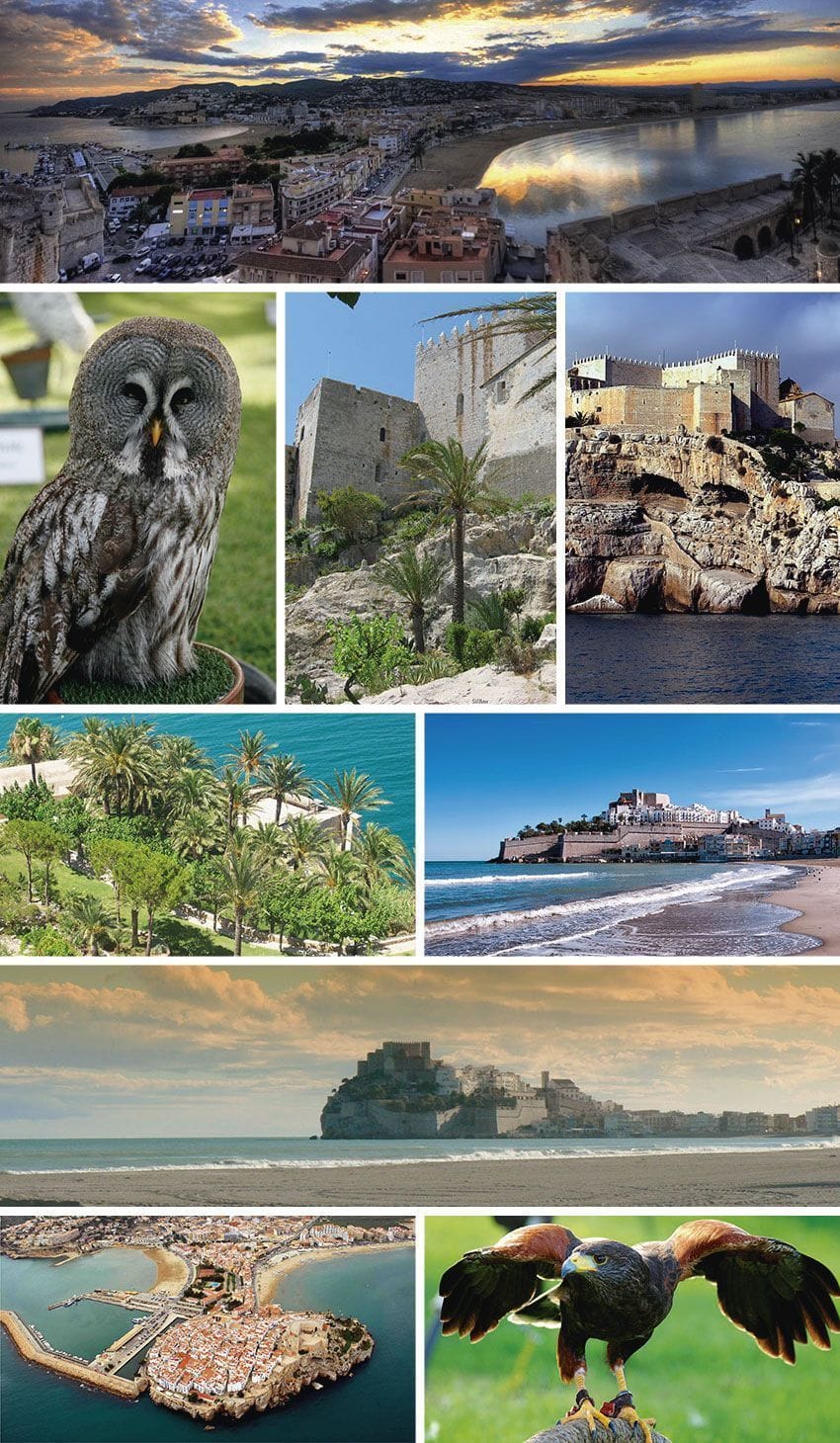 Exhibición de aves rapaces y jardines junto al castillo de Peñíscola
