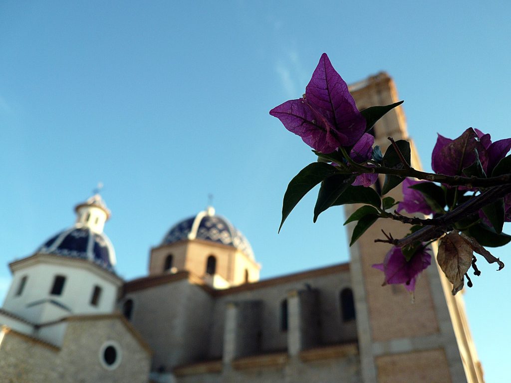 Cúpulas azules de la iglesia del Consuelo de Altea con buganvilla, excursión Altea y Benidorm desde Valencia