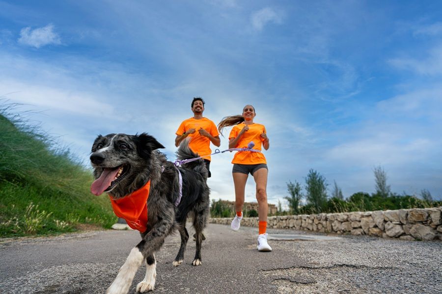 Participantes con sus perros en la Dogfy Run Solidaria 2026 en Valencia, carrera a beneficio de protectoras afectadas por la DANA