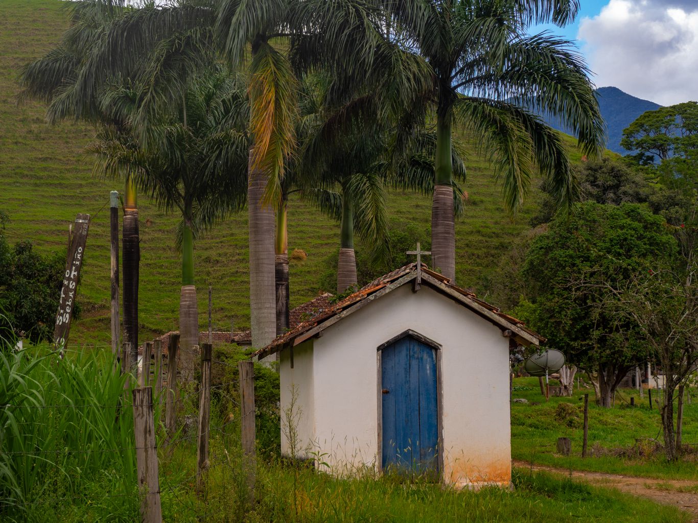 Ermita rústica rodeada de vegetación y palmeras, ambiente de romería en la huerta valenciana