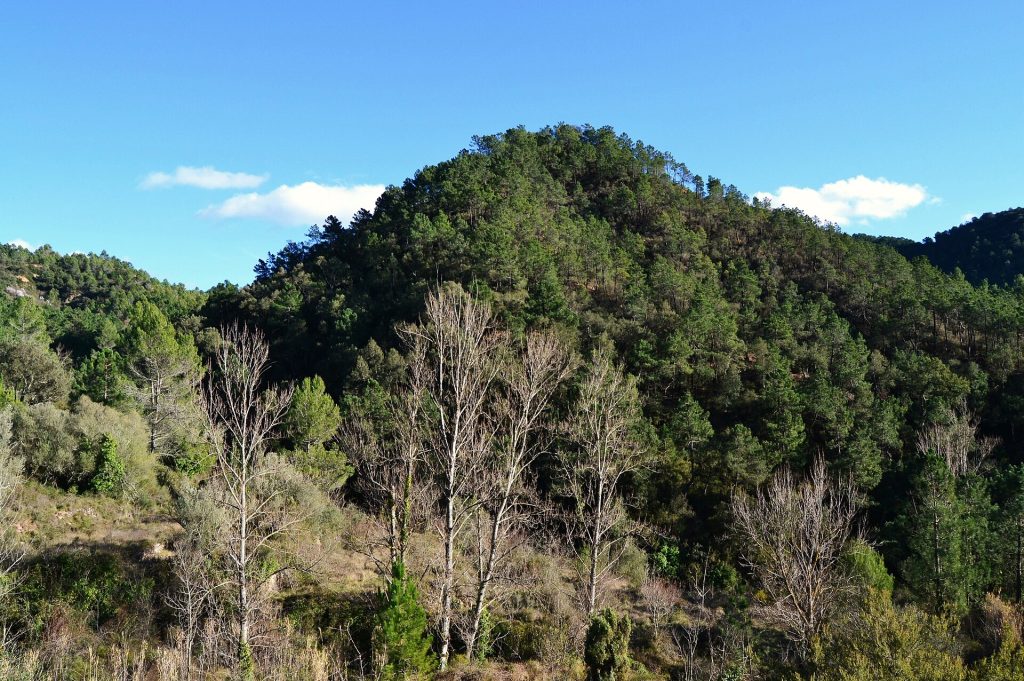 Vistas panorámicas de la Vall d'Uixó con la Sierra de Espadán al fondo