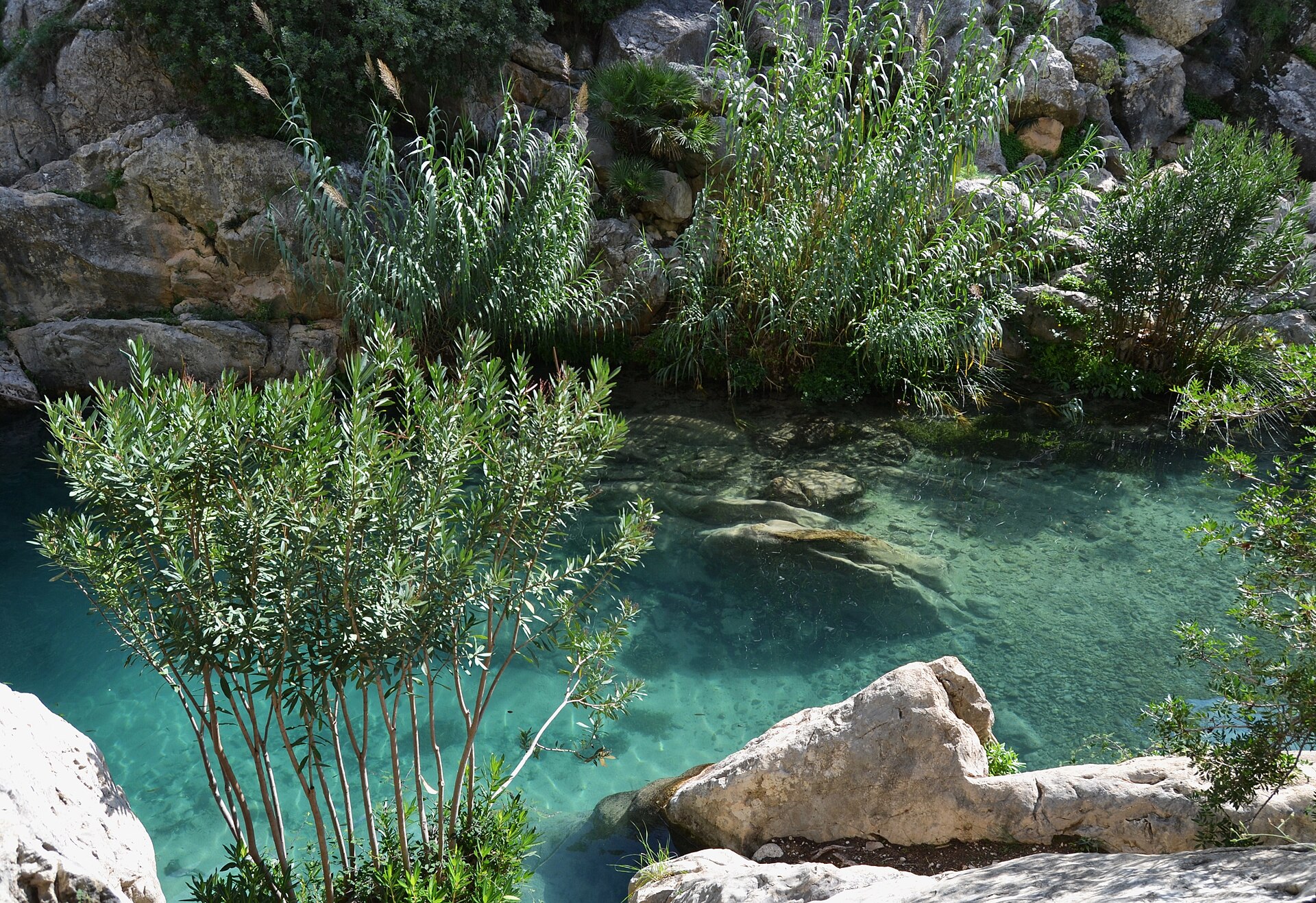 Toll Blau, the deep blue pool at the Algar waterfalls near Altea