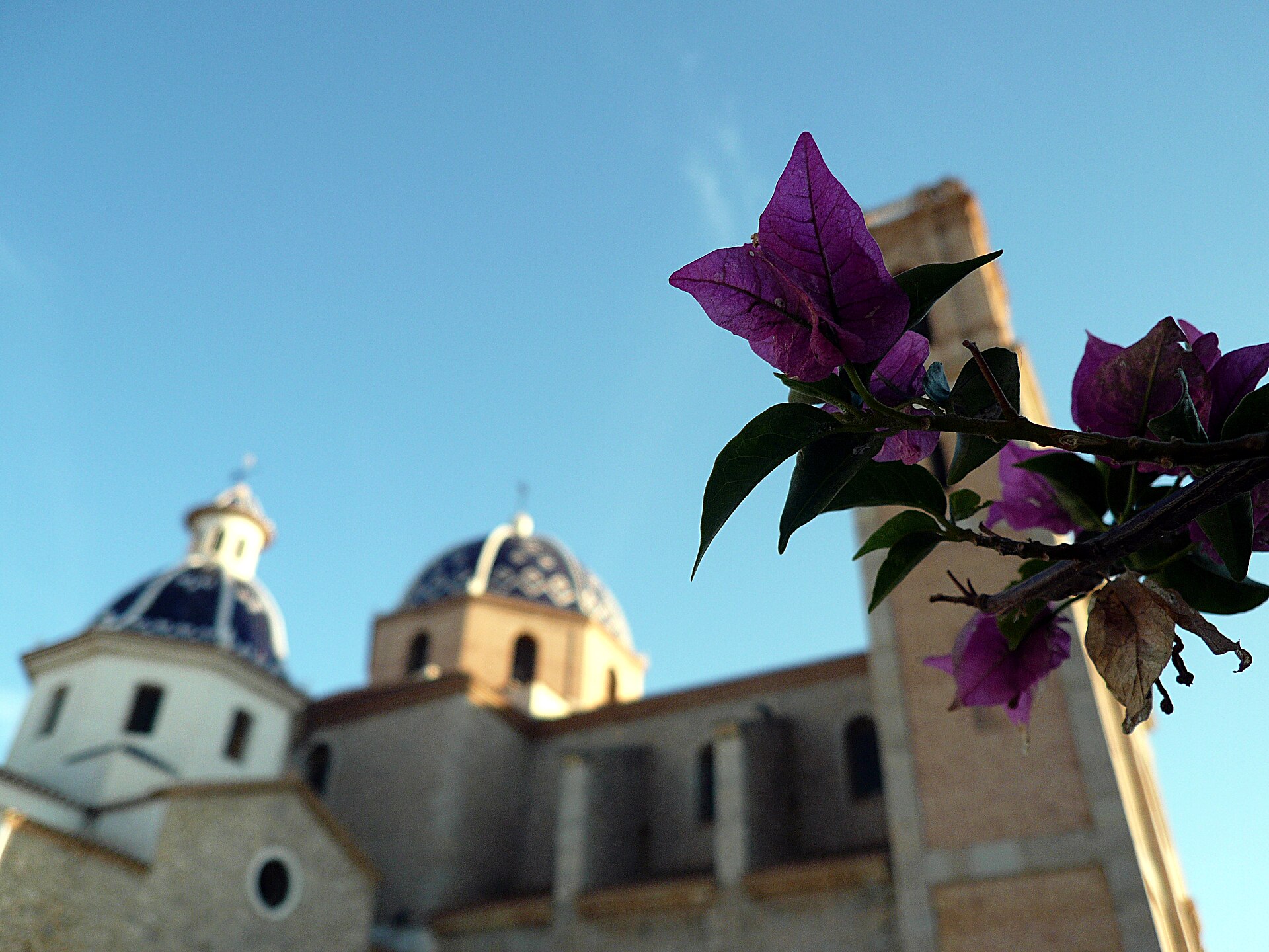 Blue domes of the Consuelo church in Altea old town with bougainvillea, day trip from Valencia