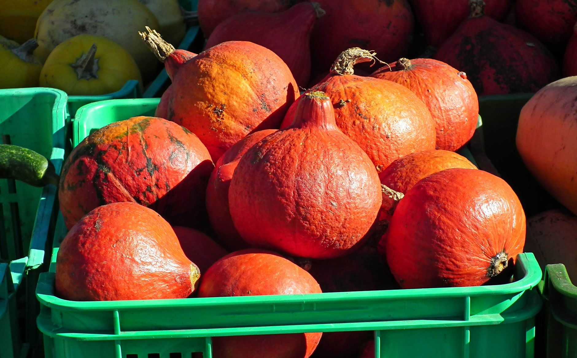 Calabazas rojas en cajas verdes en un mercado al aire libre