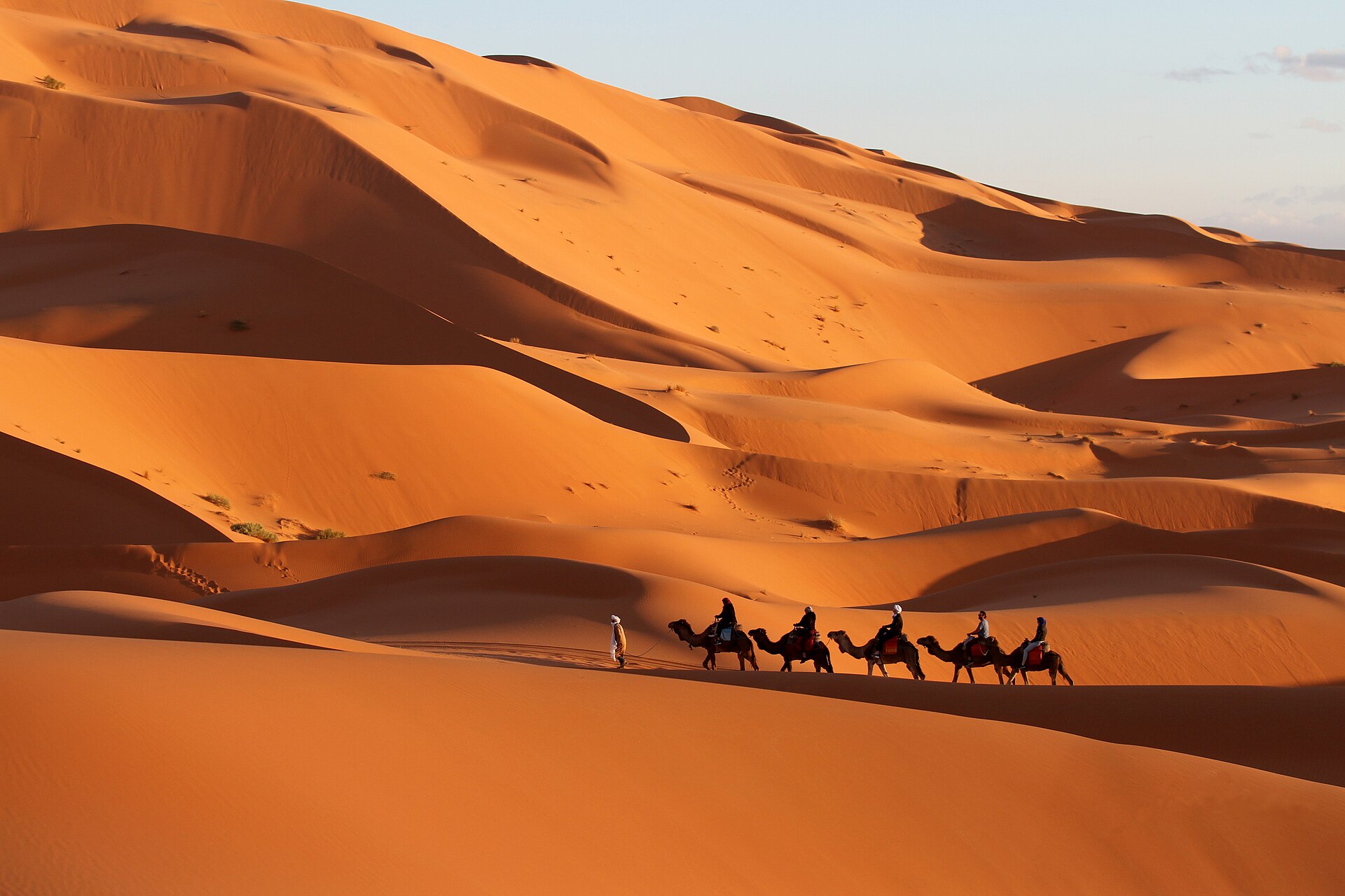 Camel ride in the Merzouga desert on an 8-day Morocco group trip from Valencia