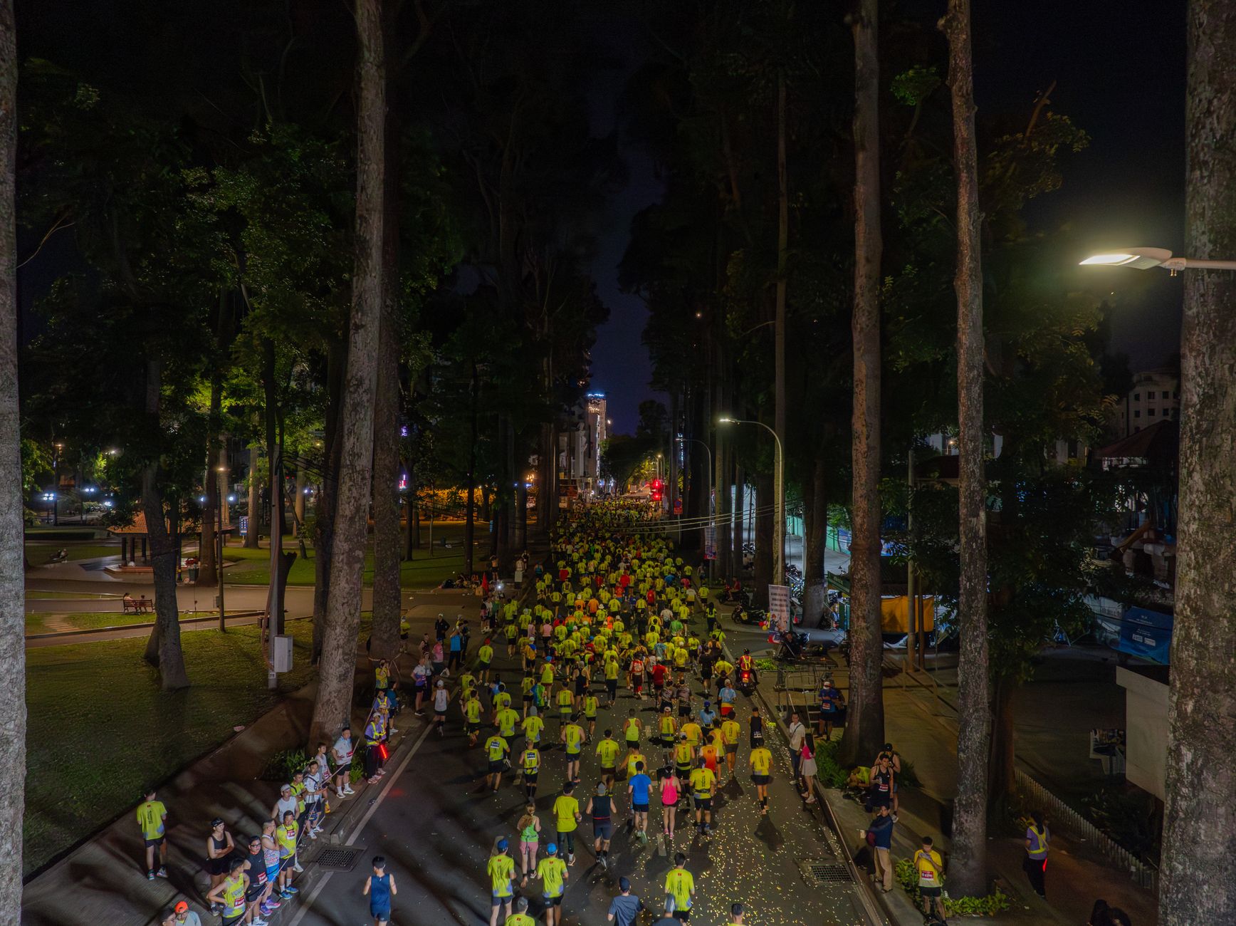 Carrera nocturna por una avenida arbolada de una ciudad