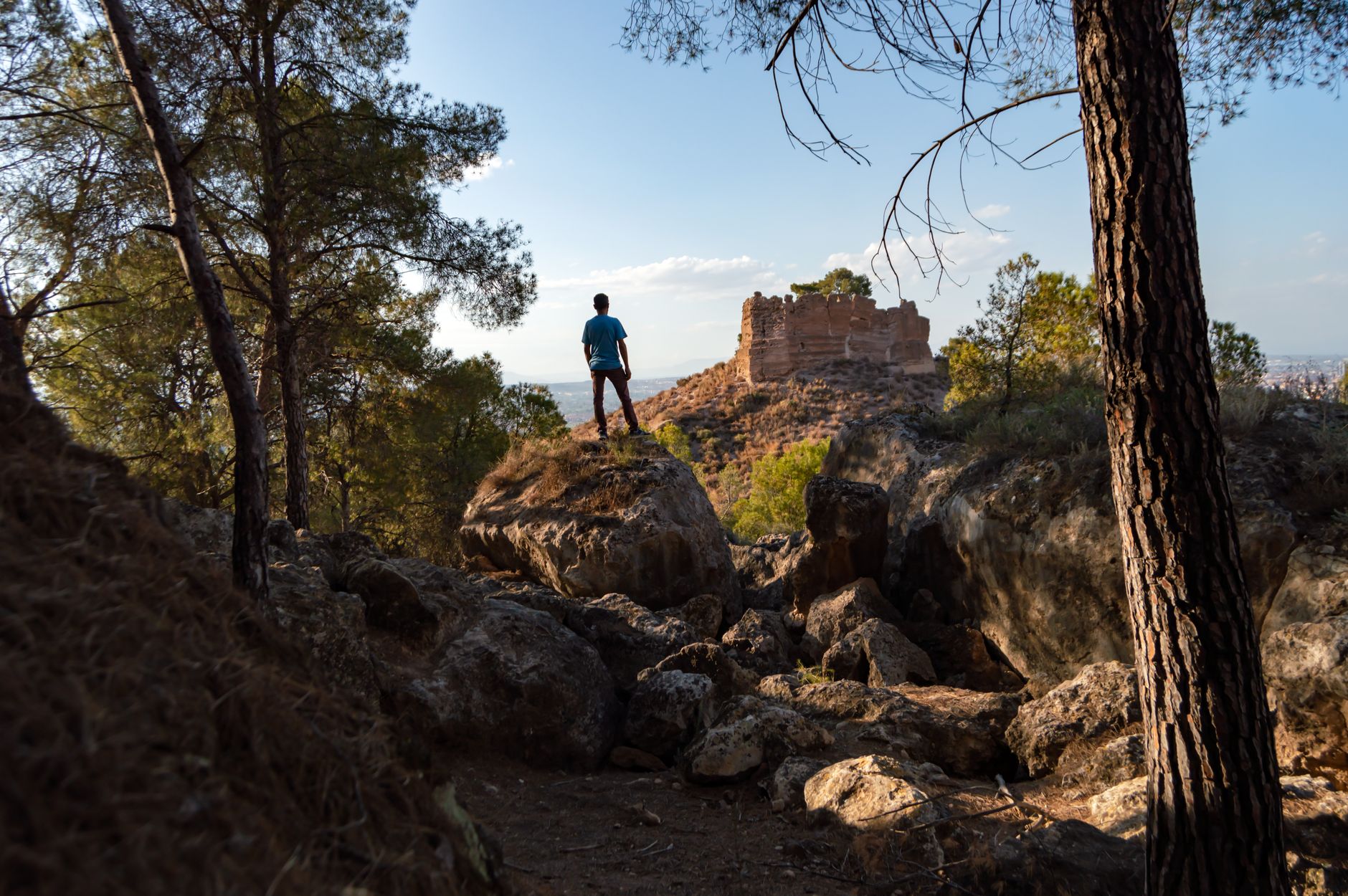 Persona sobre unas rocas mirando restos de piedra en un bosque de pinos